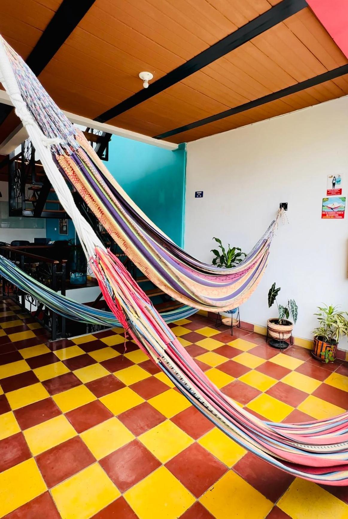 Havana Hostel Cali & Dance School Bagian luar foto