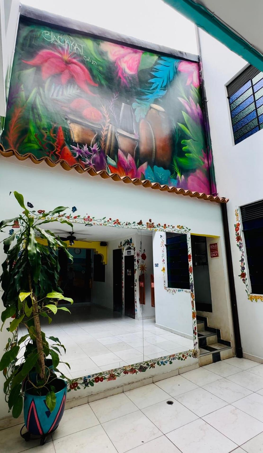 Havana Hostel Cali & Dance School Bagian luar foto